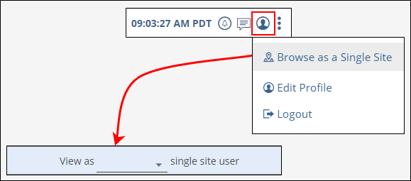 Browse as Single Site flow